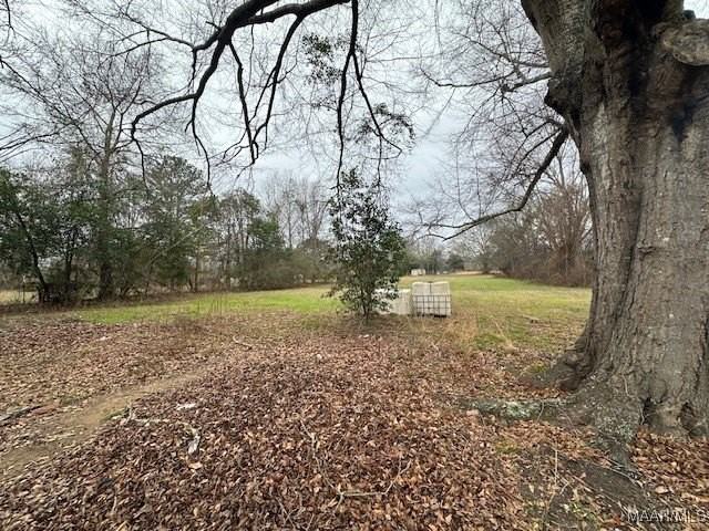 416 Saint James Church Loop - Photo 2 of 14