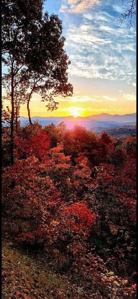 245 Mountain Ridge Rd - Photo 7 of 8