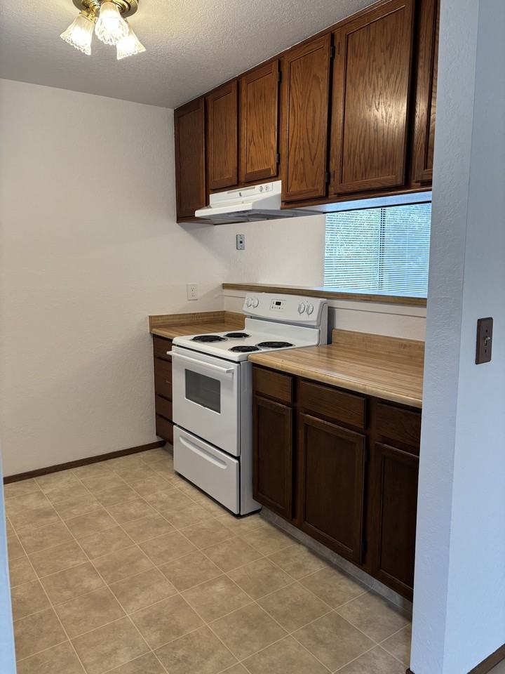 2516 Charlene Lane - Photo 7 of 29