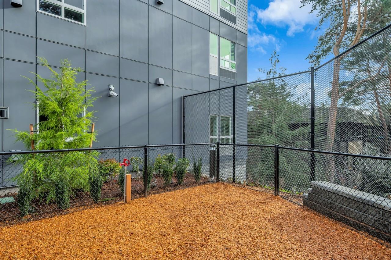 Altaire at Jackson Park - Photo 4 of 50