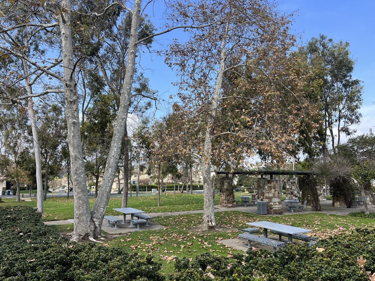 1162 Hanford Ct #1 - Photo 3 of 12