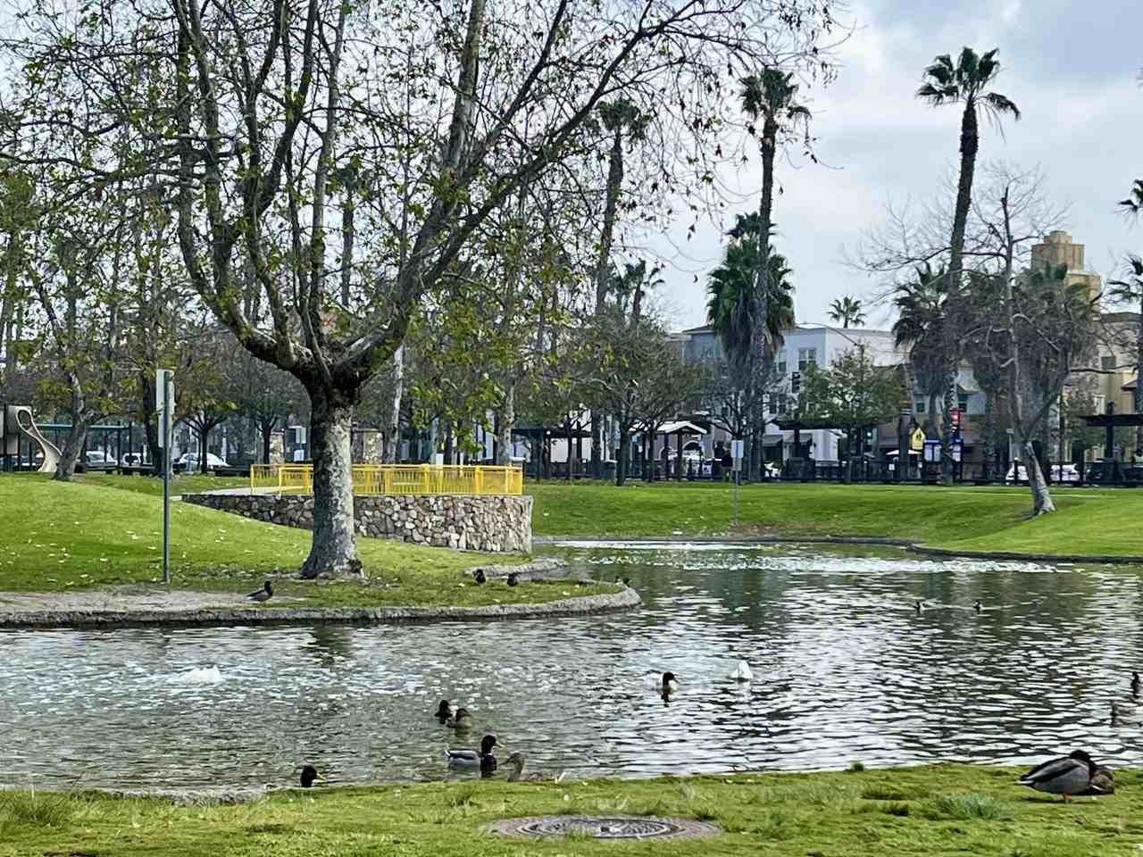 1162 Hanford Ct #1 - Photo 4 of 12