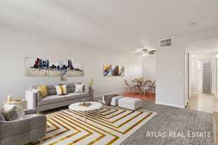 Cherry Tree - Photo 1 of 1