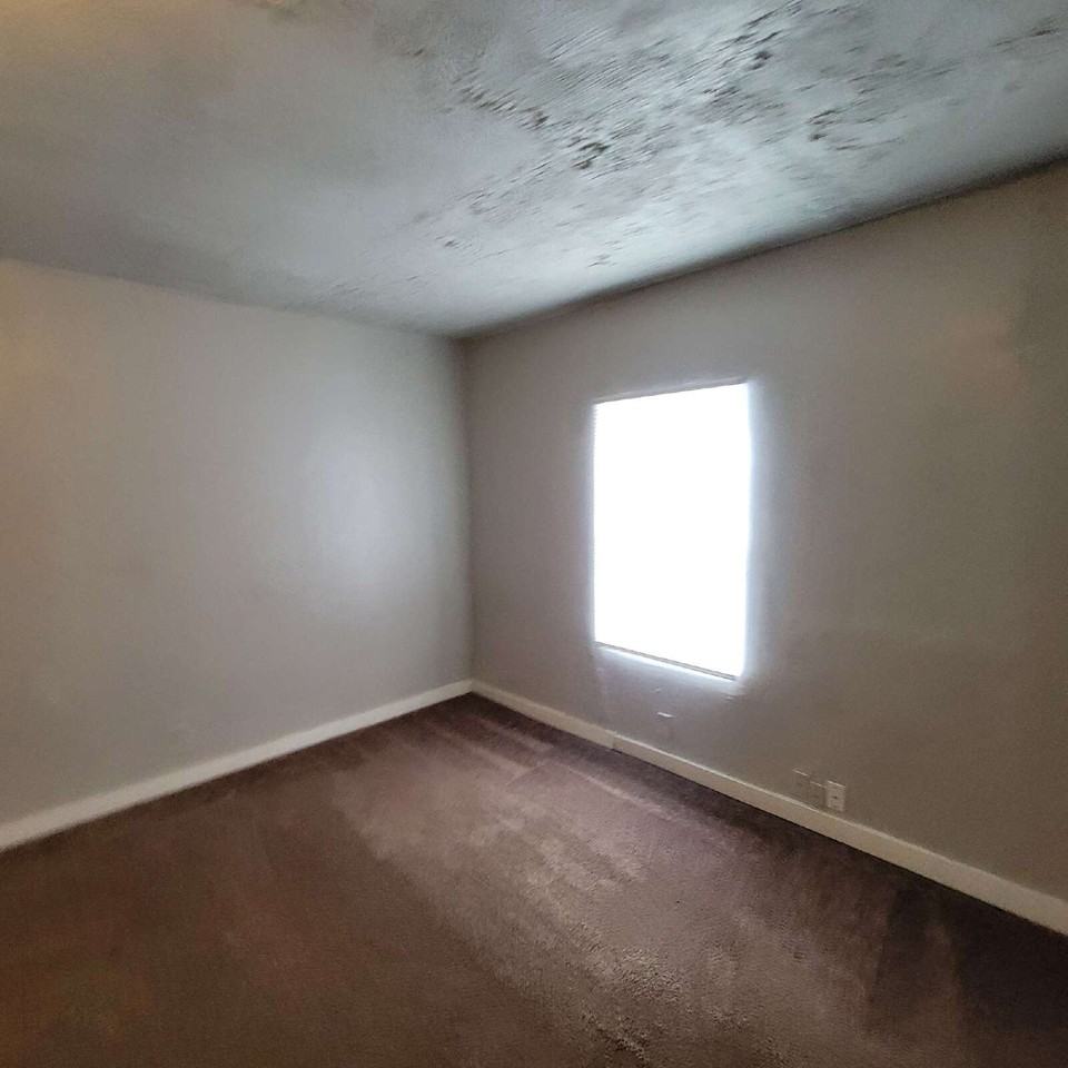 3354 Hovey St - Photo 4 of 7