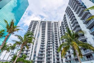 Monarc at Met - Photo 1 of 1