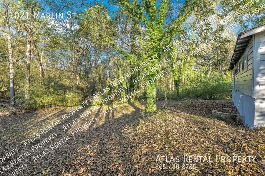 1021 Marlin St - Photo 5 of 28