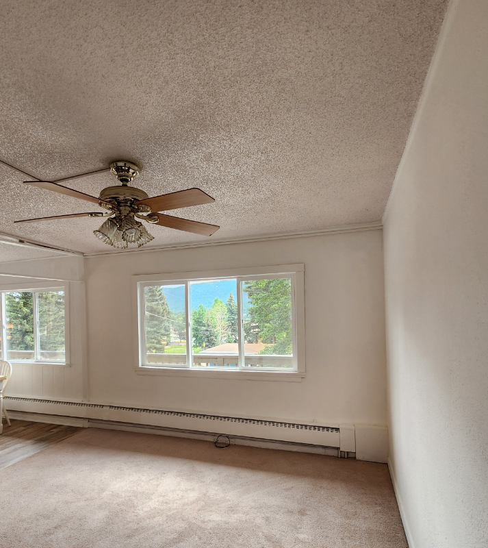 919 W Lorraine Ave #1 - Photo 6 of 12