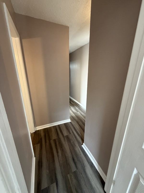 4506 Laplace St - Photo 3 of 13