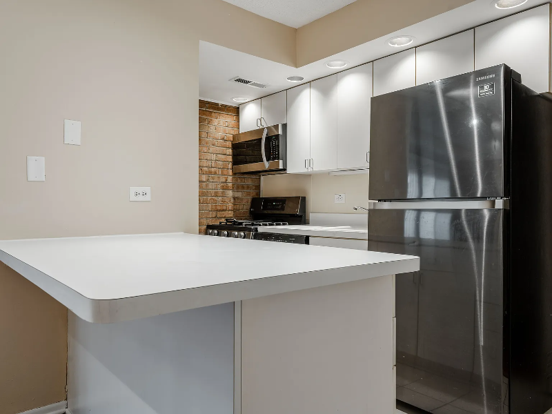 713 W Diversey Pkwy #7 - Photo 4 of 13