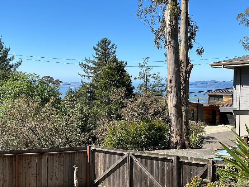 1411 Queens Rd - Photo 2 of 16