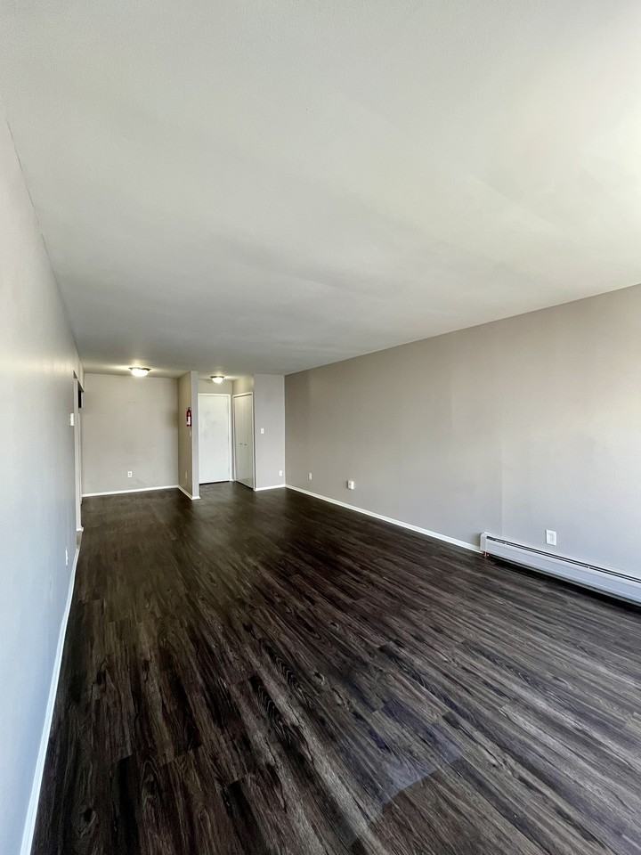 249 Chestnut Apartments - Photo 3 of 11