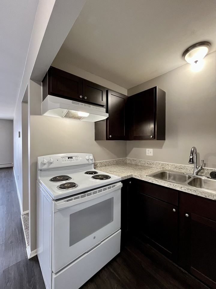 249 Chestnut Apartments - Photo 4 of 11