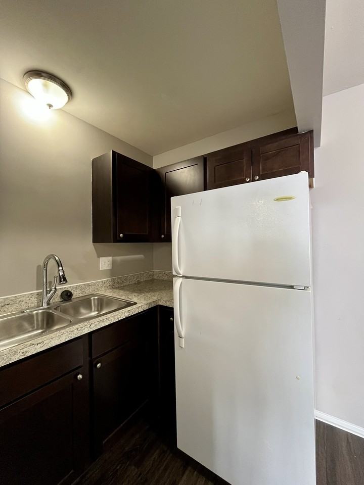 249 Chestnut Apartments - Photo 5 of 11