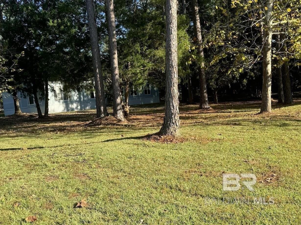 24180 Newport Rd - Photo 4 of 50