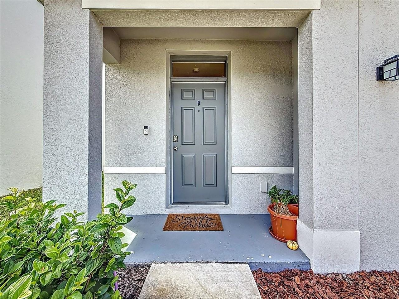 33568 Barberry Leaf Way - Photo 4 of 38