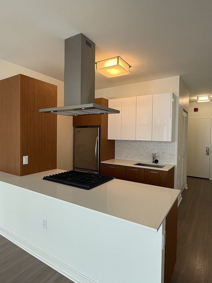 500 N Lake Shore Dr Apt 3409 #3409 - Photo 3 of 19