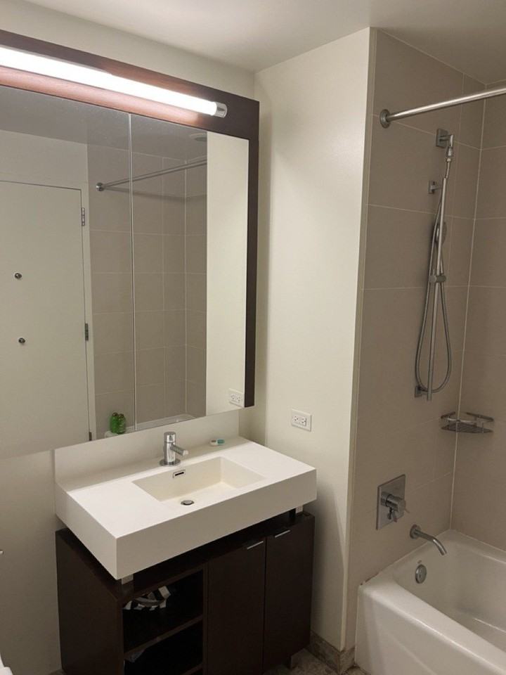 500 N Lake Shore Dr Apt 3409 #3409 - Photo 7 of 19