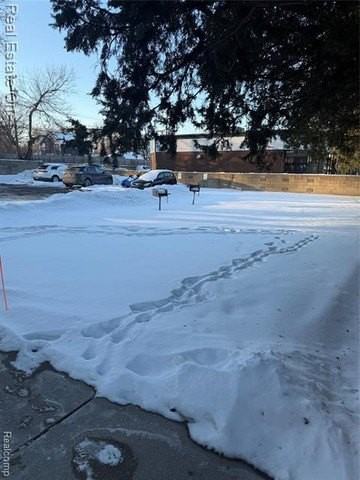 25835 Lahser Rd #5 - Photo 4 of 12