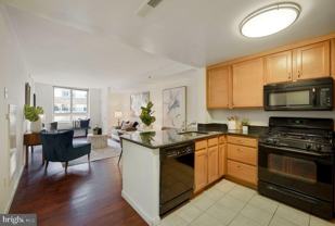 355 I St Sw Apt 410 #410 - Photo 1 of 1