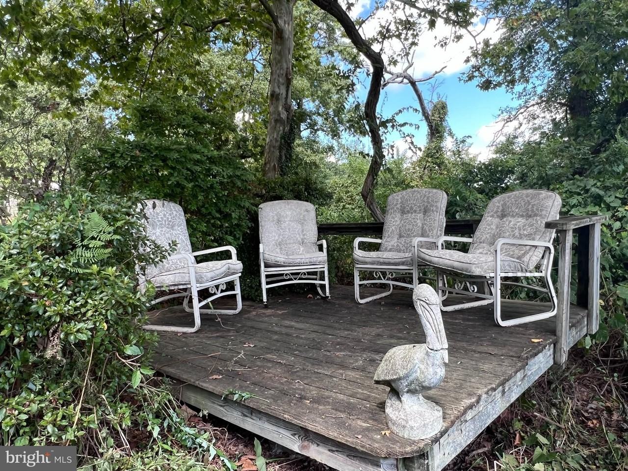 1 Punte Ln - Photo 2 of 37