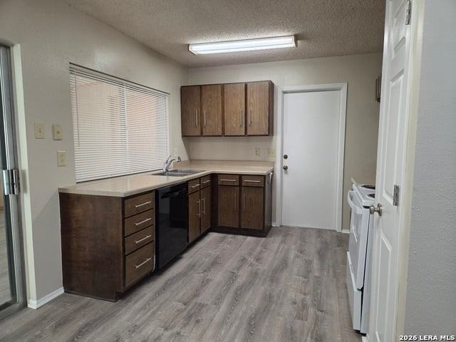 10807 Green Brook St - Photo 5 of 23