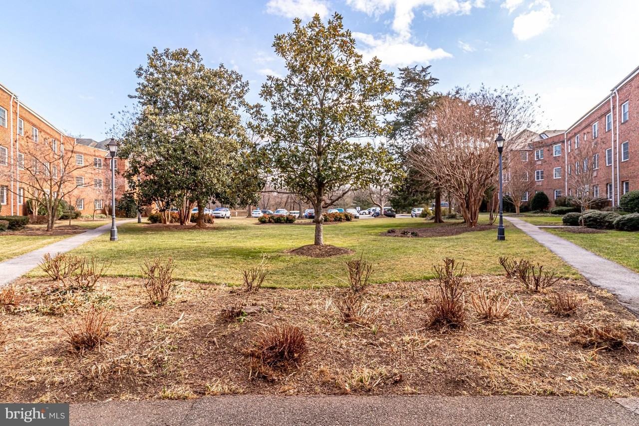 1708 W Abingdon Dr Apt 301 #301 - Photo 2 of 43