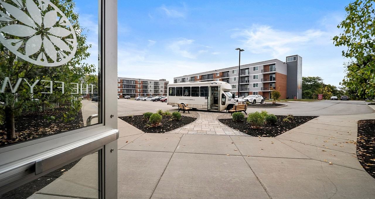 The Feywild - Photo 3 of 47