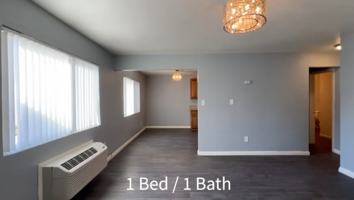 featured image of 1539 Pumalo St