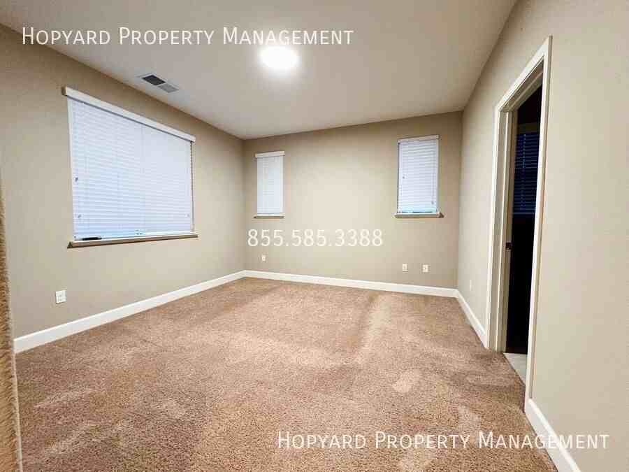 5663 Daylily St - Photo 7 of 16