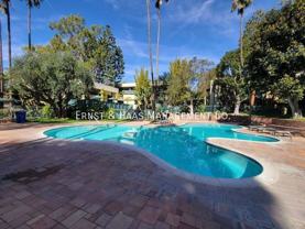 448 N Bellflower Blvd #204 - Photo 1 of 1