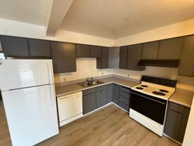 3630 Omalley Rd #1 - Photo 1 of 1