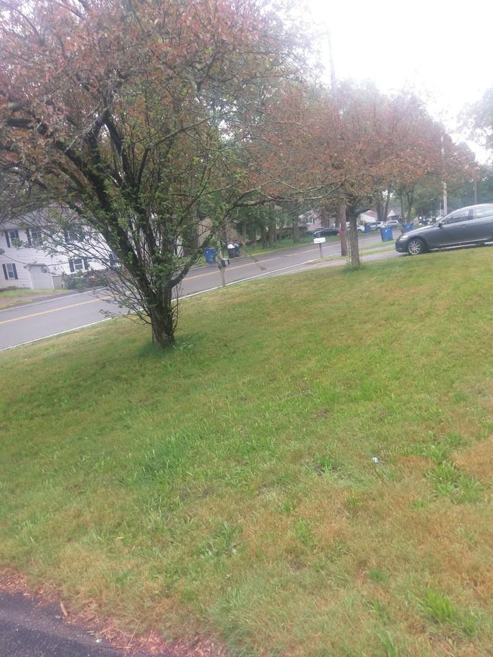 277 Canton St #2 - Photo 6 of 15