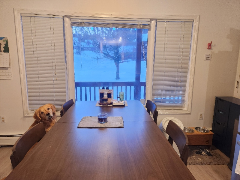 205 Forest Dr #3 - Photo 4 of 20