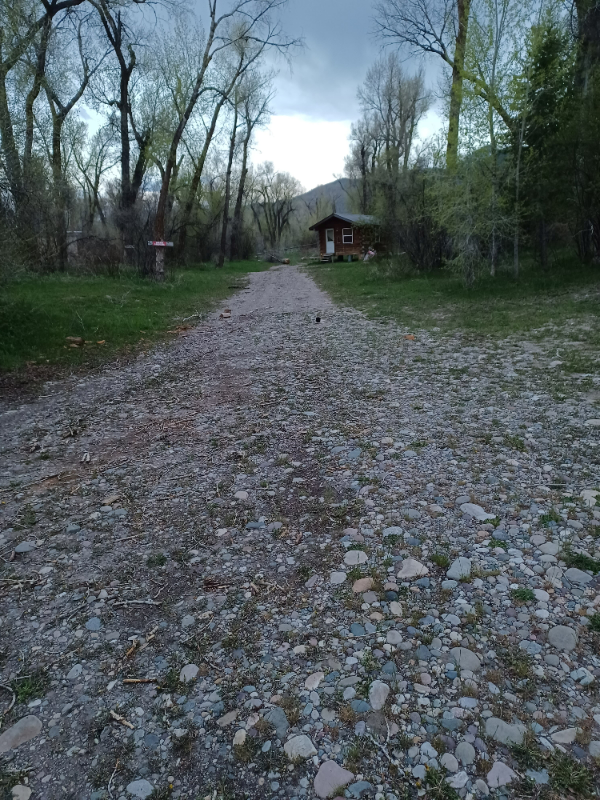 3768 Swan Valley Hwy - Photo 3 of 10