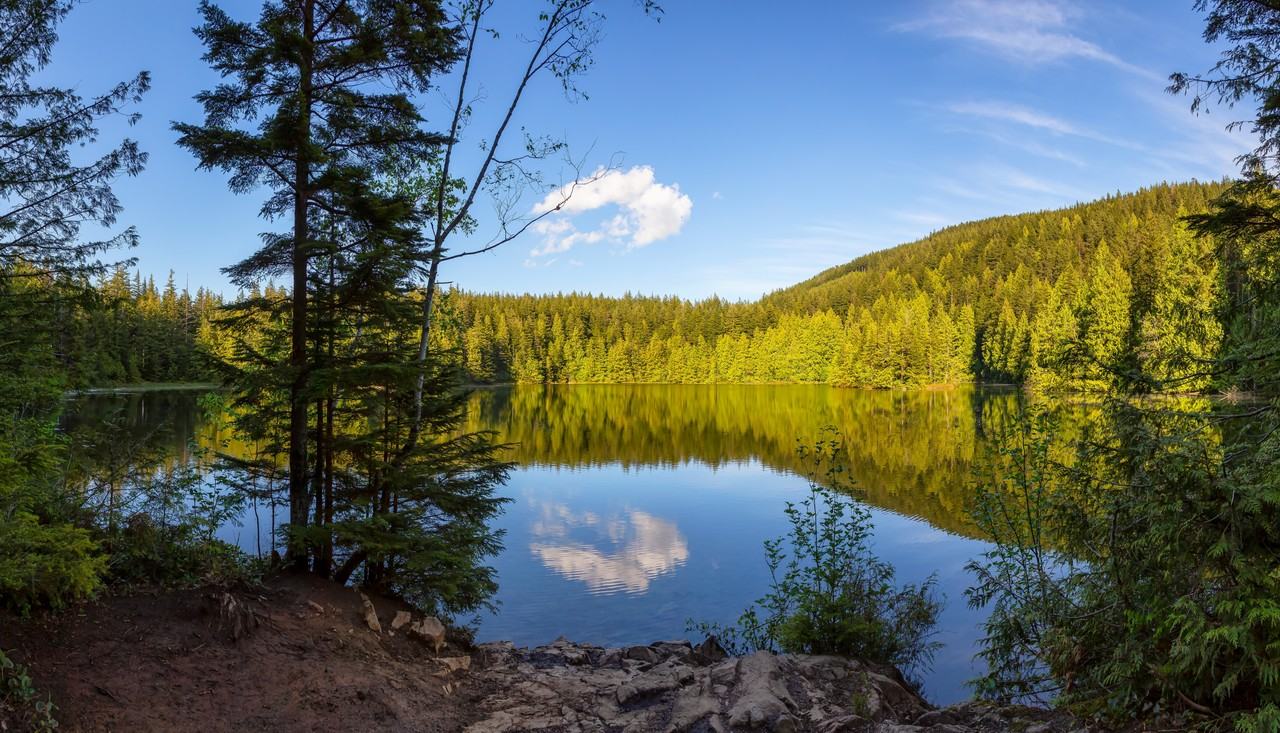 Skyside Residences - Photo 5 of 14