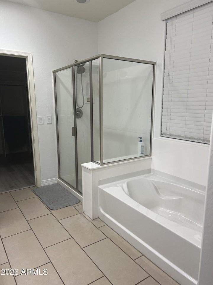 21969 N 98th Ln - Photo 7 of 12