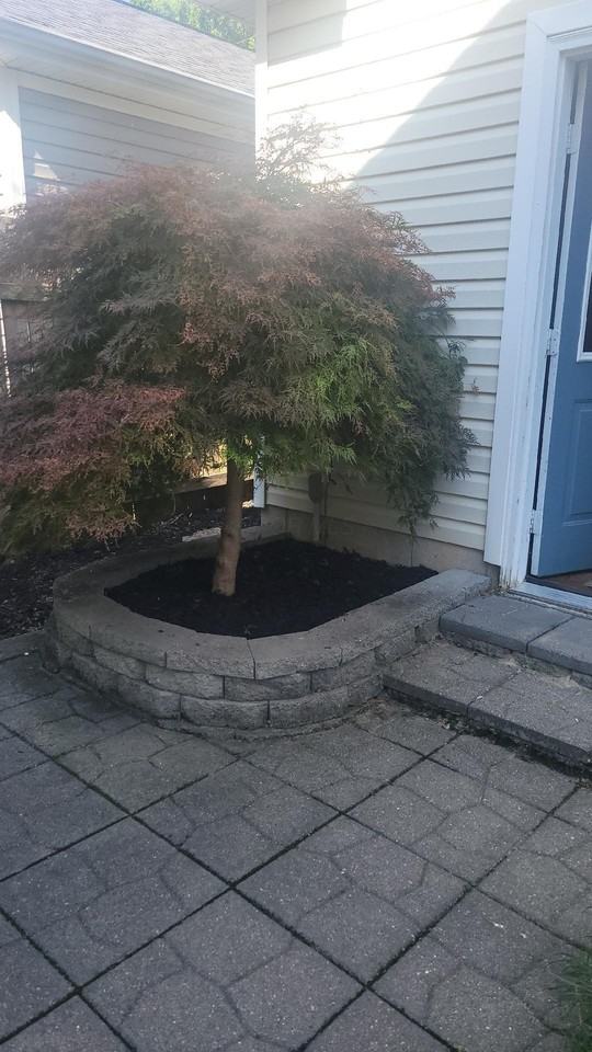 250 N 21st St - Photo 7 of 7