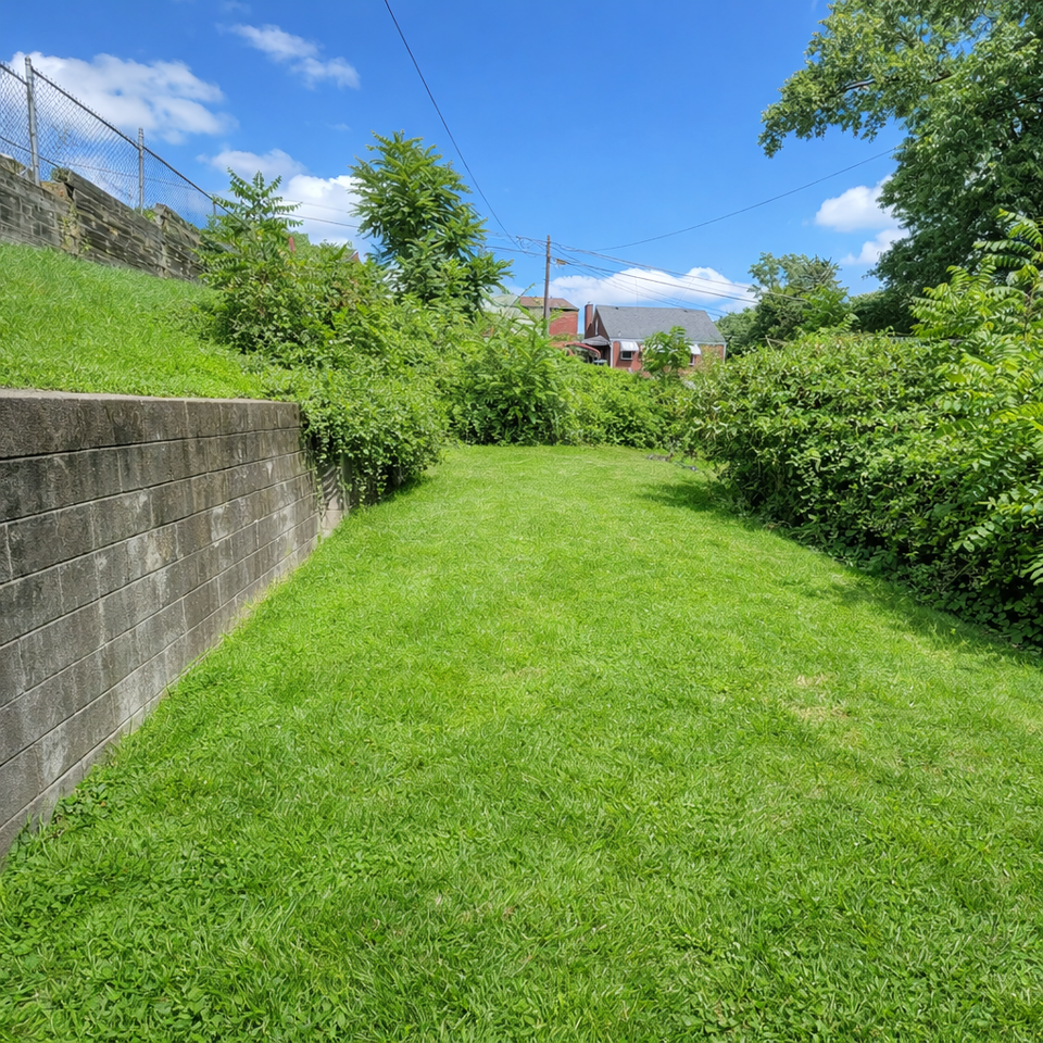 1608 Woodmont Avenue - Photo 7 of 8