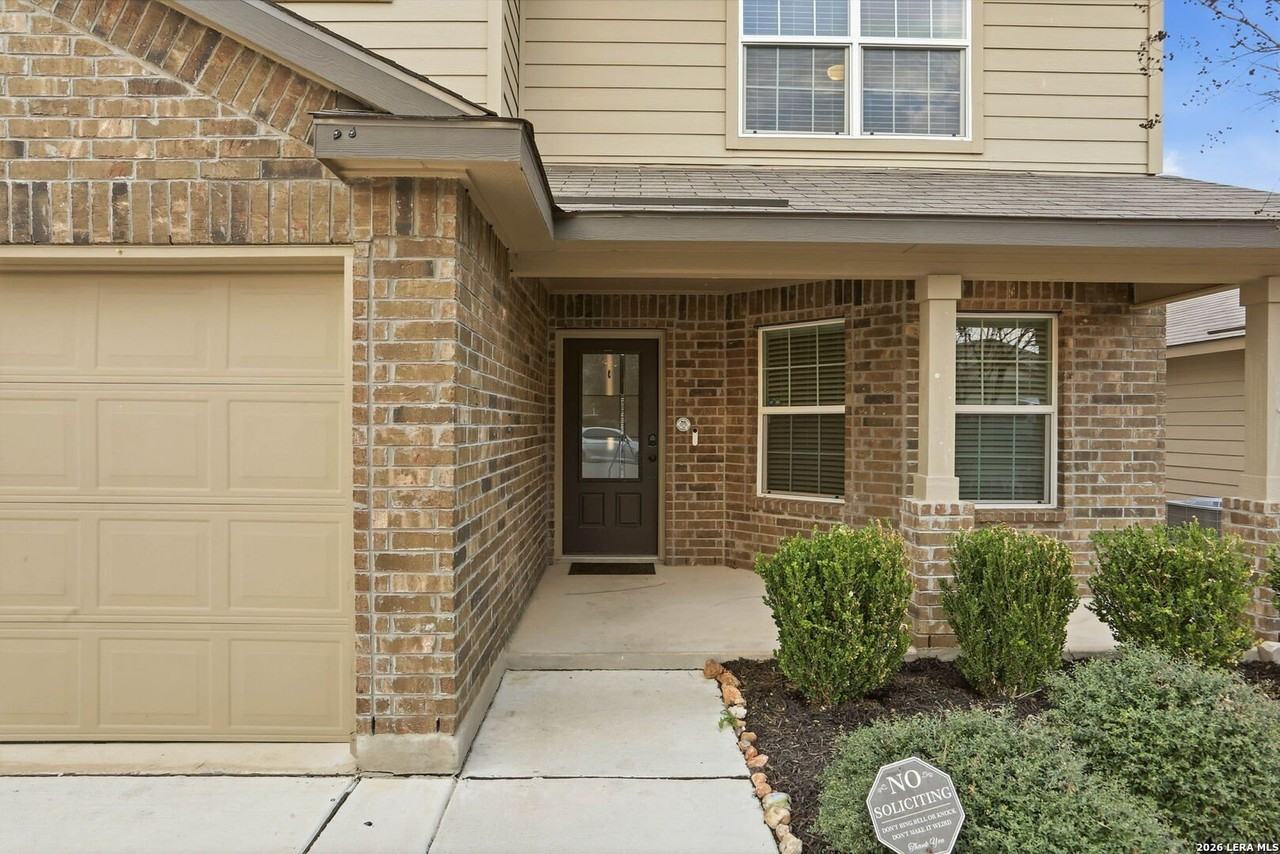 15135 Longtailed Duck - Photo 5 of 45