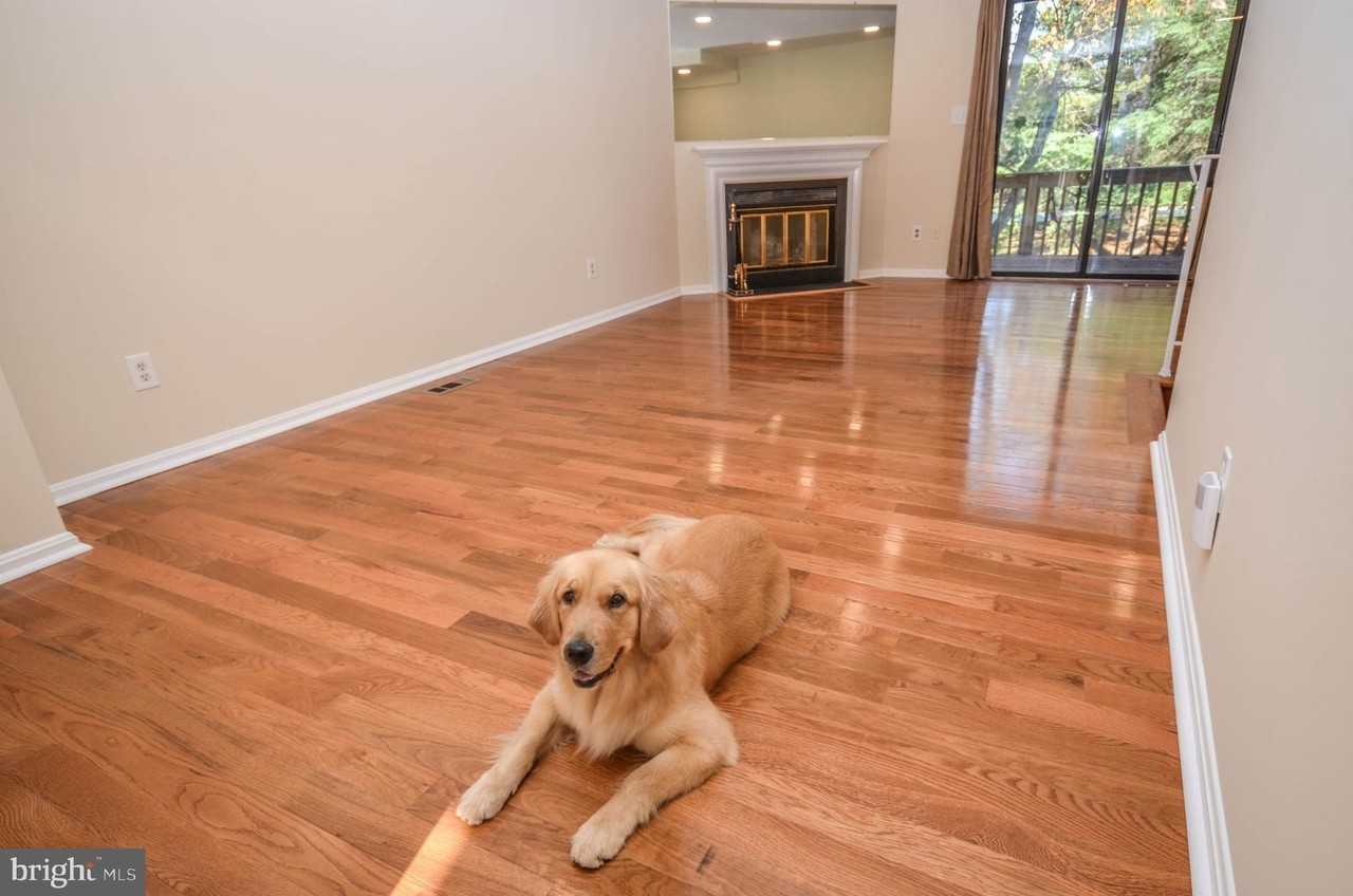 8711 Ravenglass Way - Photo 7 of 34