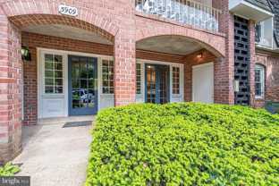 5909B Prince James Dr Apt B #B - Photo 1 of 1