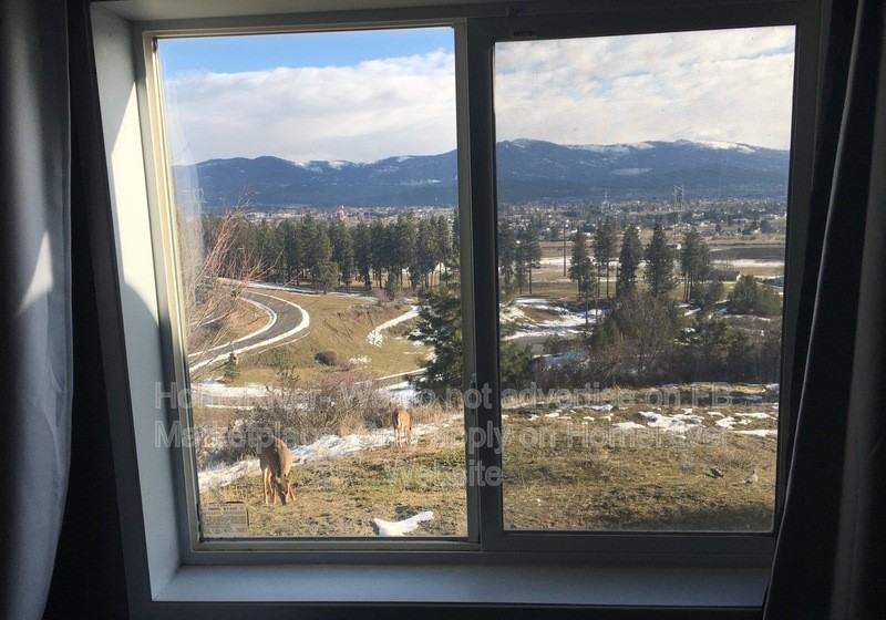 22526 E Vanetta Ave - Photo 3 of 6