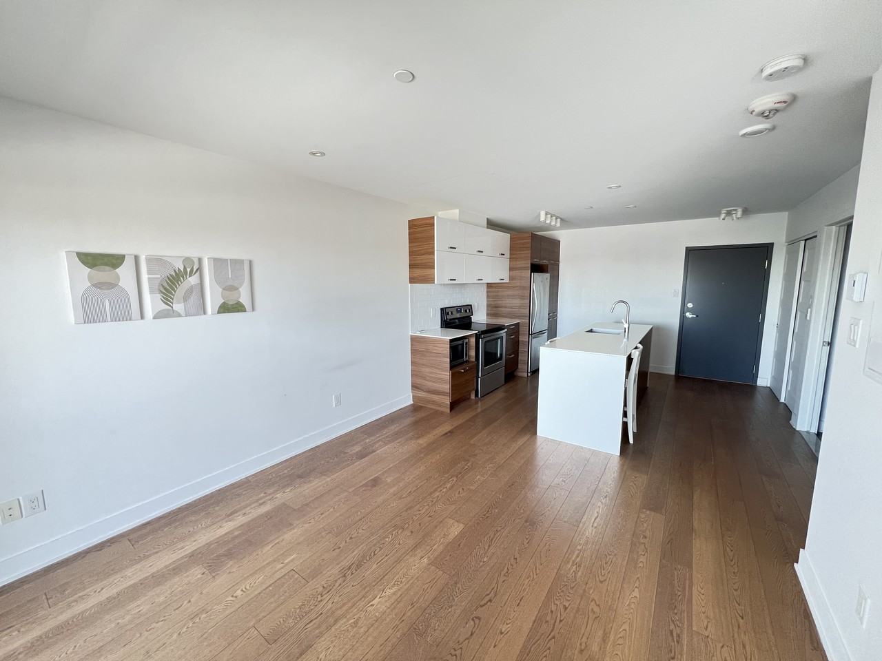 1400 Rue Lucien-Paiement - Photo 4 of 11