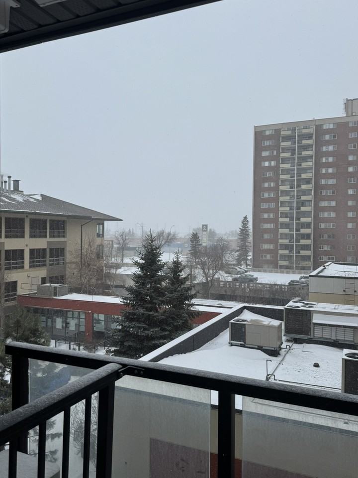 1792 Pembina Hwy - Photo 3 of 10