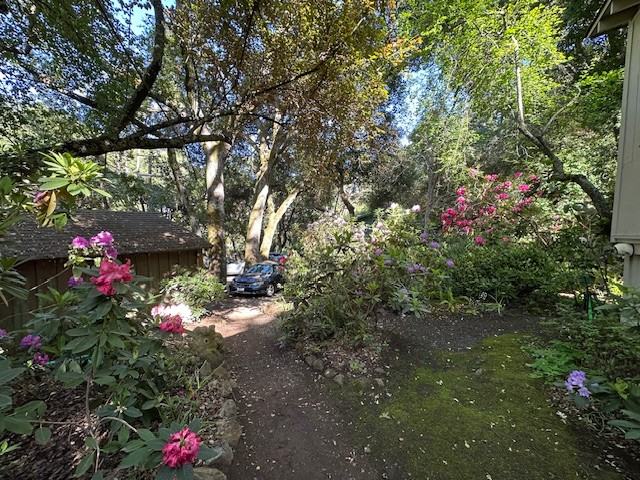 Moody Moody Road - Photo 2 of 9