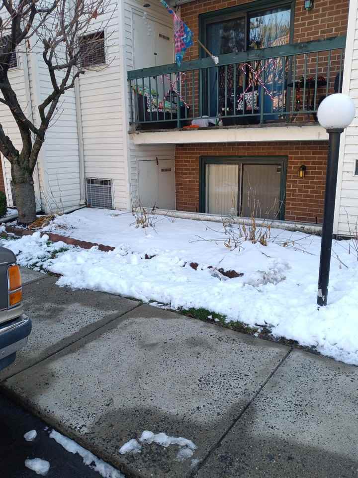 3750 Clarendon Ave #203