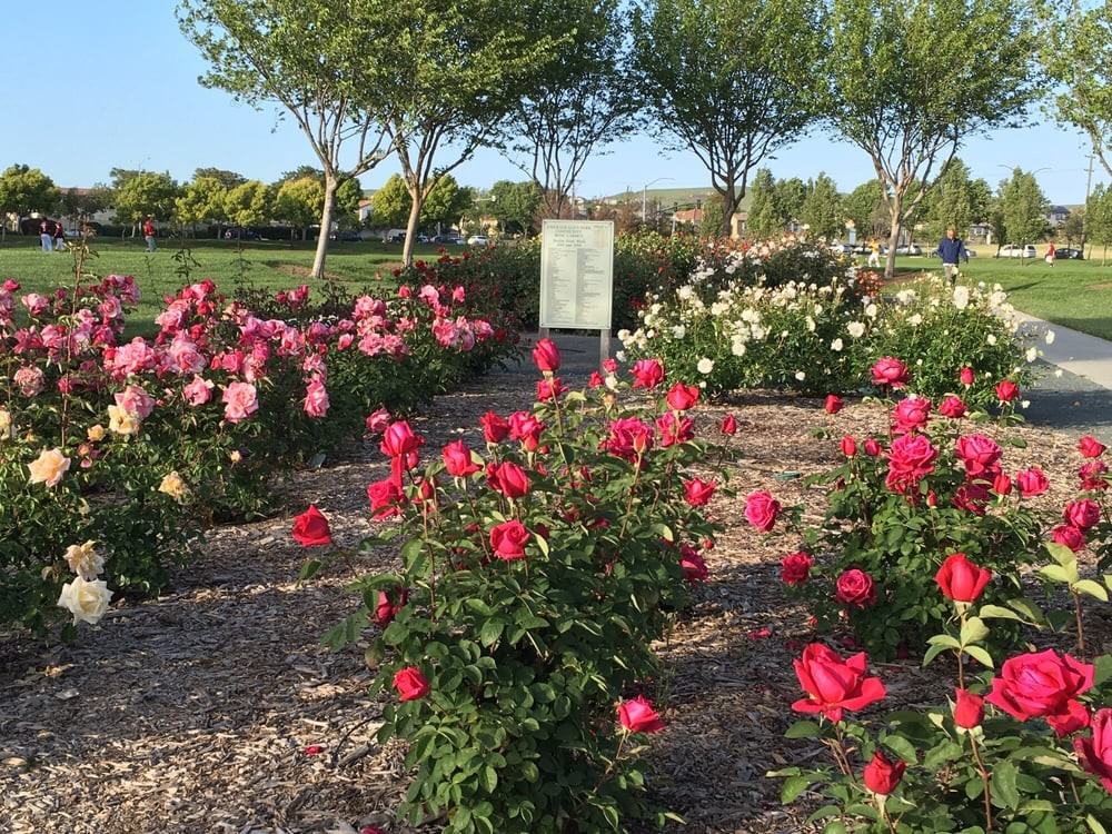 4431 Bangor Ct #NA - Photo 6 of 17