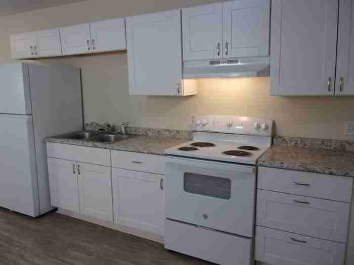 347 Friedheim Rd #347 - Photo 4 of 7