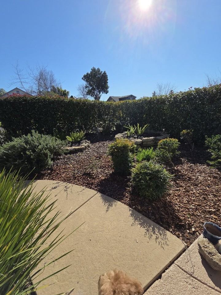 604 Mormon St - Photo 2 of 21