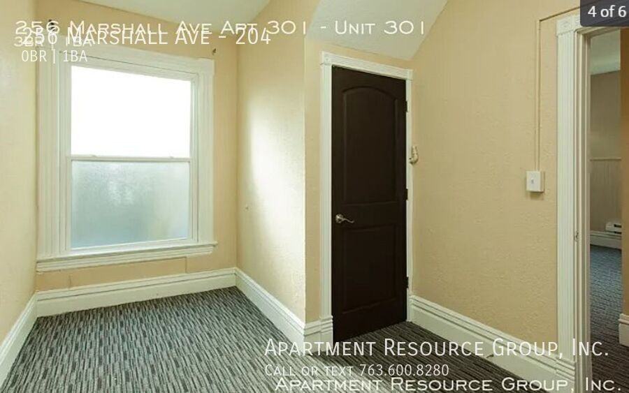 256 Marshall Ave #204 - Photo 3 of 13